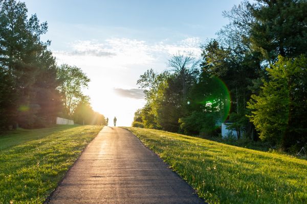 Asphalt Pathway Installation in Temple